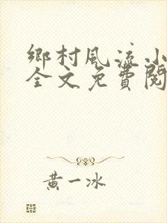 乡村风流小傻子全文免费阅读封面