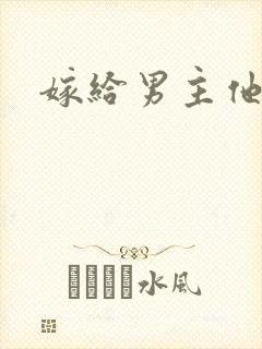 嫁给男主他爸爸