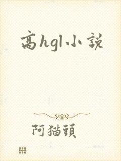 高hgl小说封面