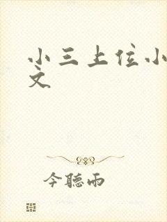 小三上位小说全文