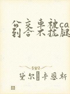 公交车被cao到合不拢腿视频