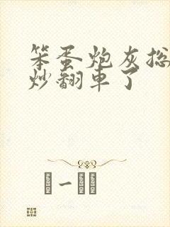 笨蛋炮灰总被爆炒翻车了