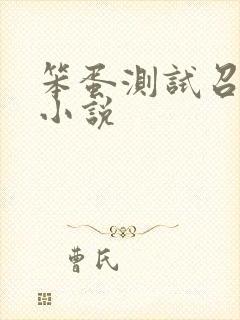笨蛋测试召唤兽小说