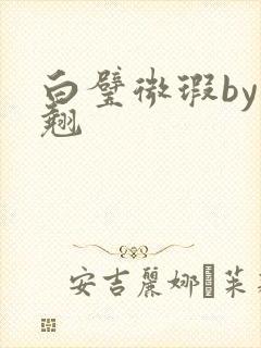 白璧微瑕by连翘