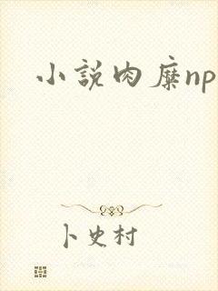 小说肉糜np