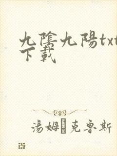 九阴九阳txt下载封面