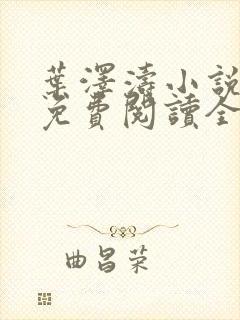 叶泽涛小说全文免费阅读全文封面