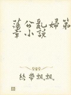 荡公乱妇第51章小说