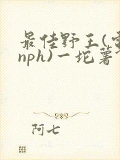 最佳野王(电竞nph)一坨薯饼