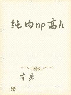 纯肉np高h