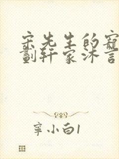 宋先生的宠妻计划轩家沐言封面