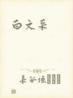 白文采