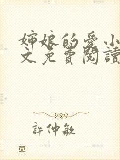 婶娘的爱小说全文免费阅读