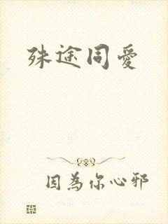 殊途同爱封面