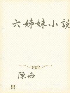 六姊妹小说封面