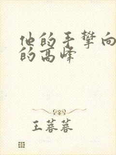 他的手攀向了我的高峰封面