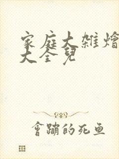 家庭大杂烩小说大全儿