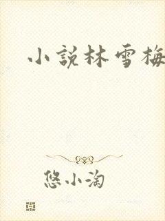 小说林雪梅