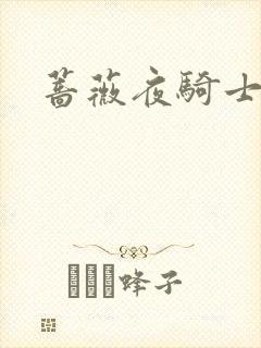 蔷薇夜骑士