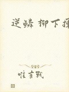 逆鳞 柳下挥封面