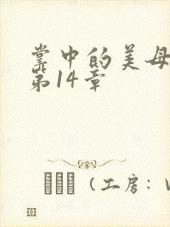 掌中的美母版主第14章