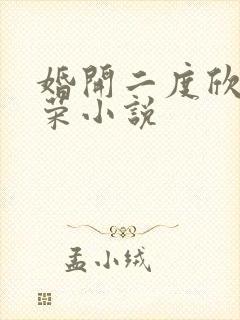 婚开二度欣欣向荣小说