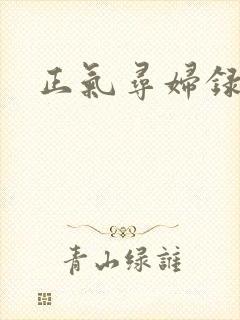 正气寻妇录