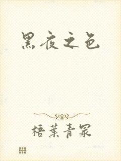 黑夜之色