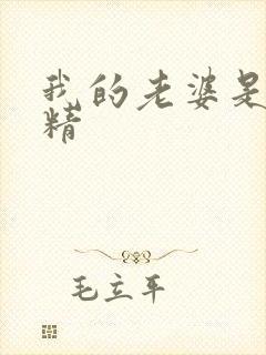 我的老婆是狐狸精