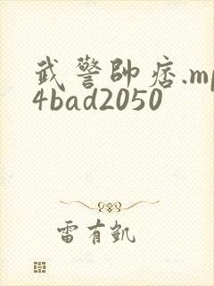 武警帅痞.mp4bad2050封面