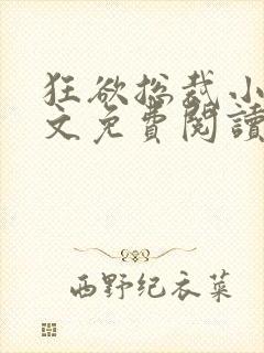 狂欲总裁小说全文免费阅读