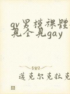 gv男模裸体全见全见gay