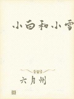 小白和小雪