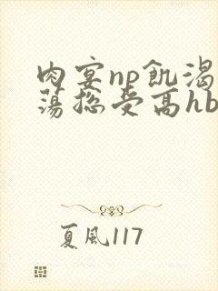 肉宴np饥渴放荡总受高hbl