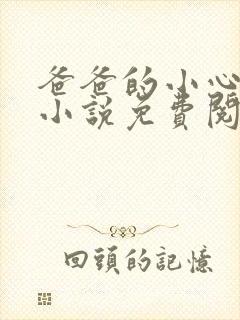 爸爸的小心肝儿小说免费阅读