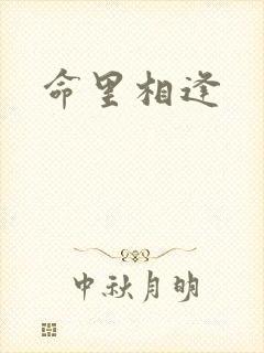 命里相逢