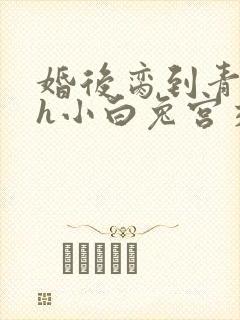 婚后脔到青梅哭h小白兔宫交h