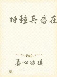 特种兵痞在都市