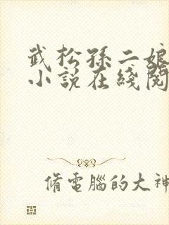 武松孙二娘云雨小说在线阅读封面