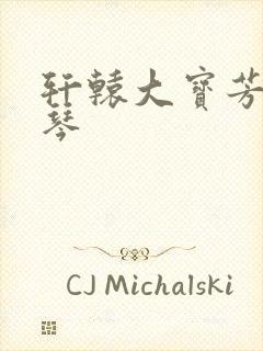 轩辕大宝芳菲雅琴