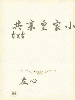 共享皇家小公主txt