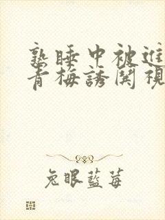 熟睡中被进了H青梅诱哄视频