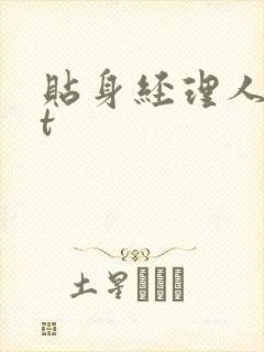 贴身经理人txt封面