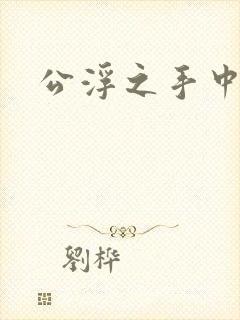 公浮之手中字5