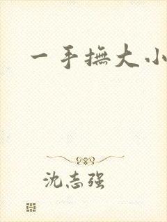 一手抚大小说