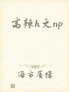 高辣h文np