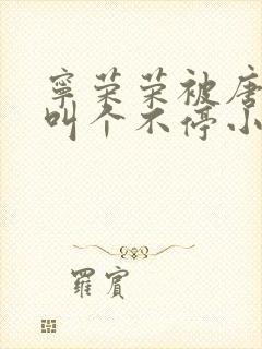 宁荣荣被唐三桶叫个不停小说封面