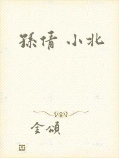 孙倩 小北封面