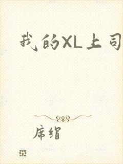我的XL上司