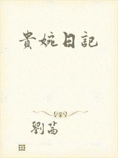 贵婉日记封面